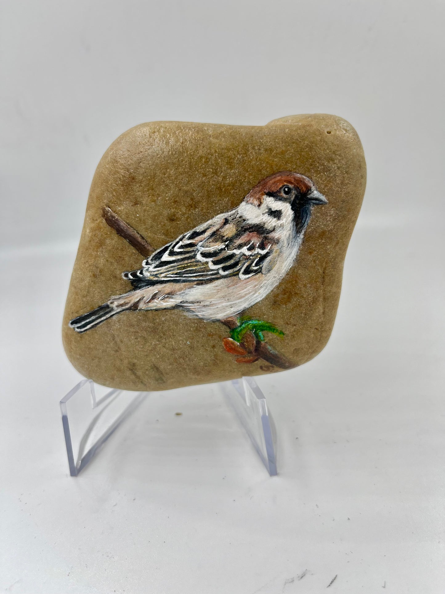 Einzigartig handbemalte Stein-der Vogel -inklusive Tischstaffelei