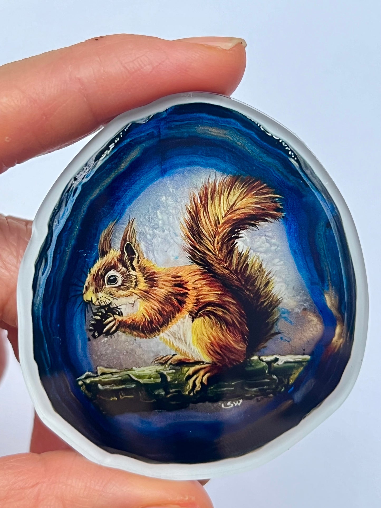 Kühlschrankmagnete, Das Eichhörnchen,Kühlschrankdekoration, Kunstdruck