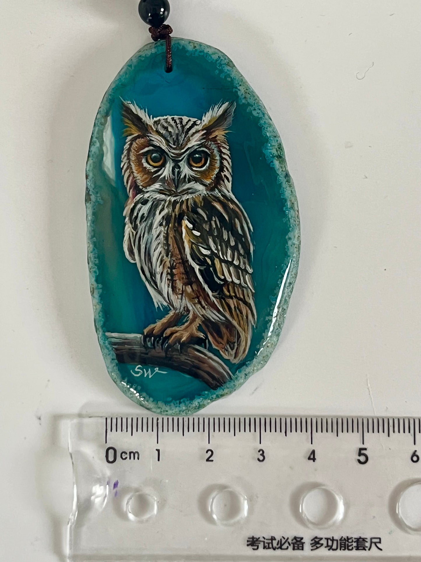 Einzigartige Anhänger /Der Eule /Achat/Hand bemalt Juwelen und tragbare Kunst /Natur Schmuck