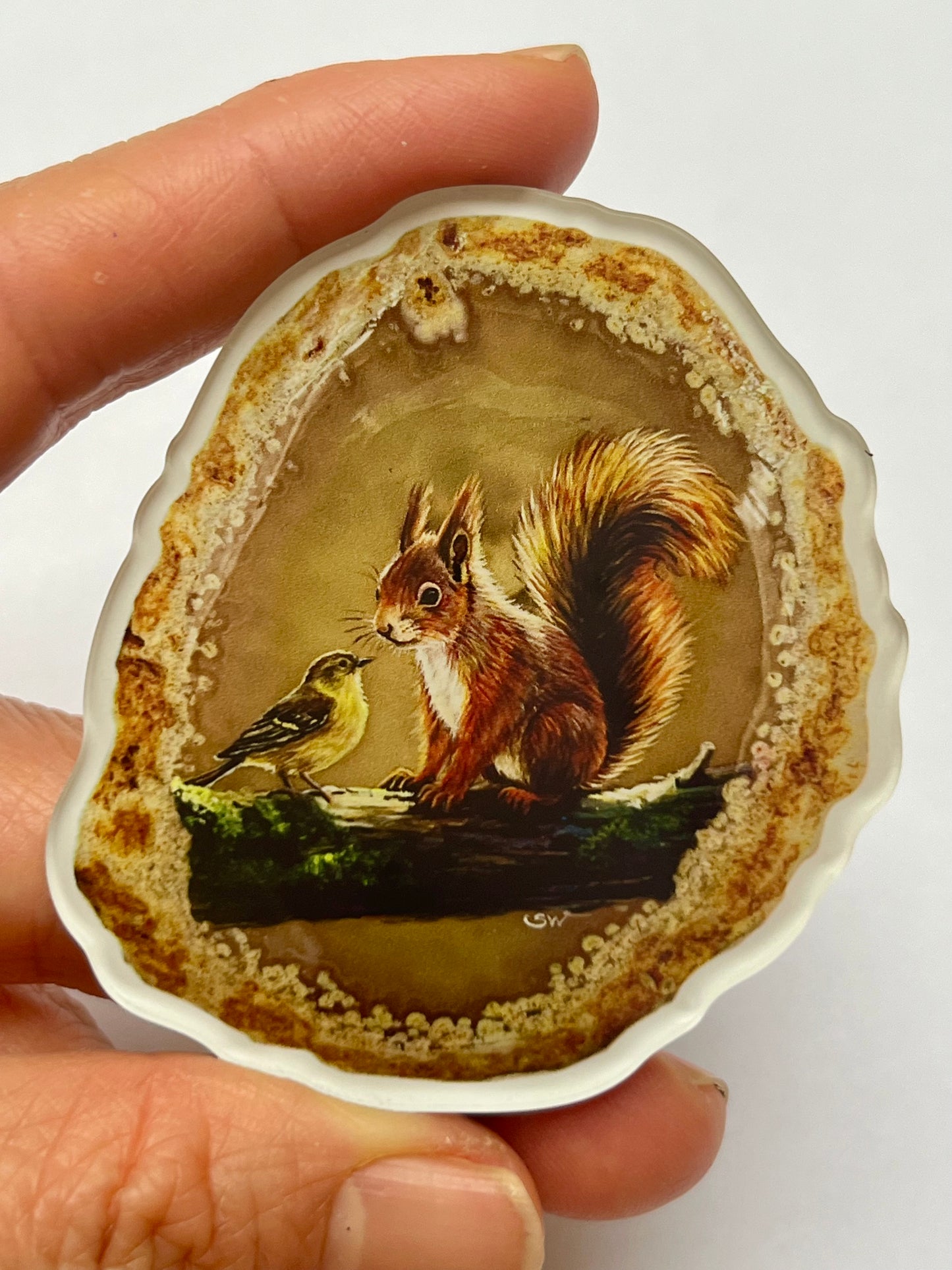 Kühlschrankmagnete, Das Eichhörnchen,Kühlschrankdekoration, Kunstdruck