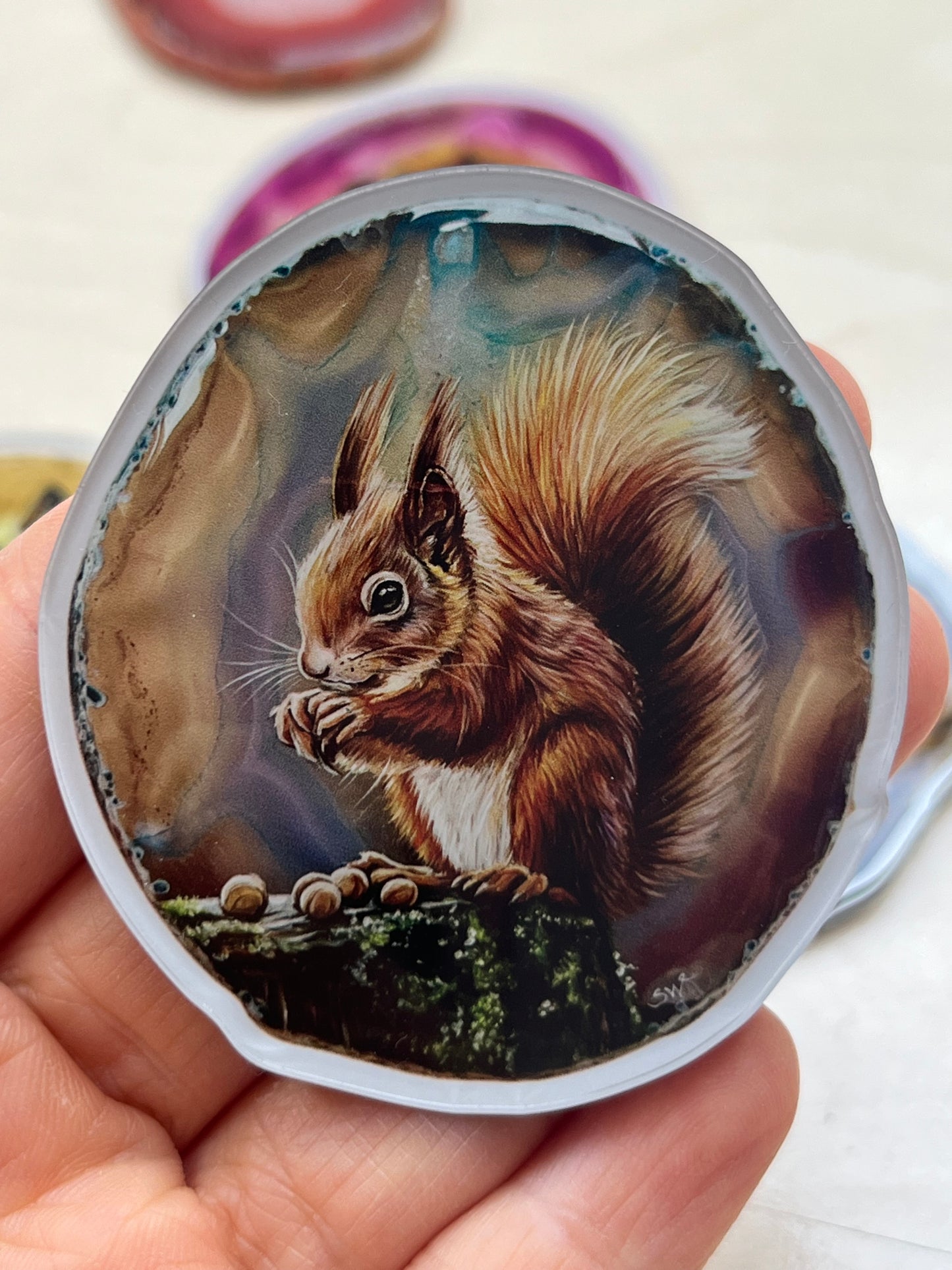 Kühlschrankmagnete, Das Eichhörnchen,Kühlschrankdekoration, Kunstdruck